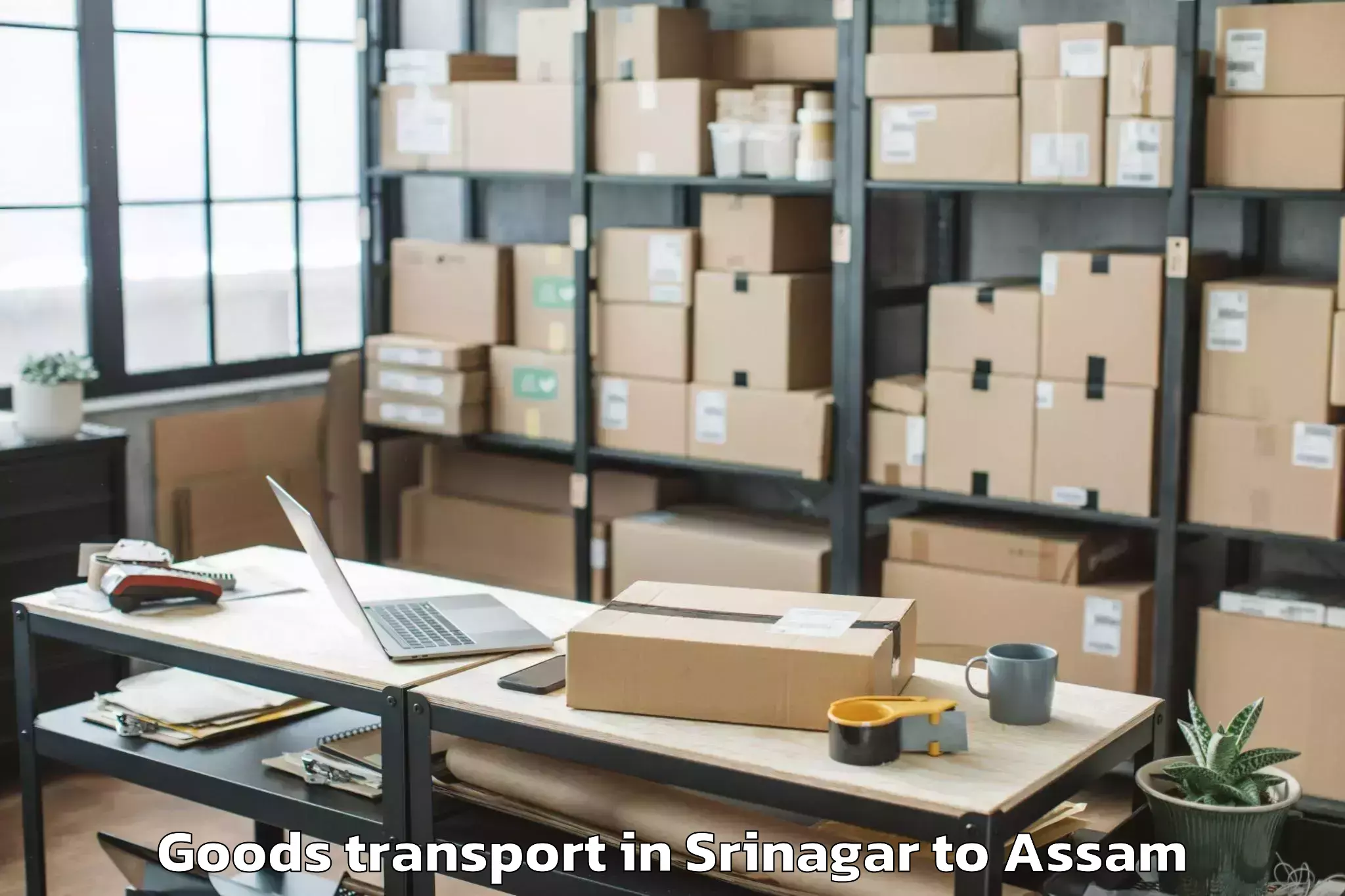 Reliable Srinagar to Mayong Goods Transport